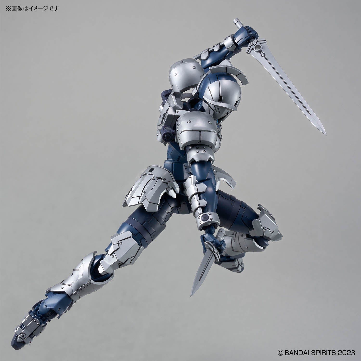 30MF Rosan Swordsman