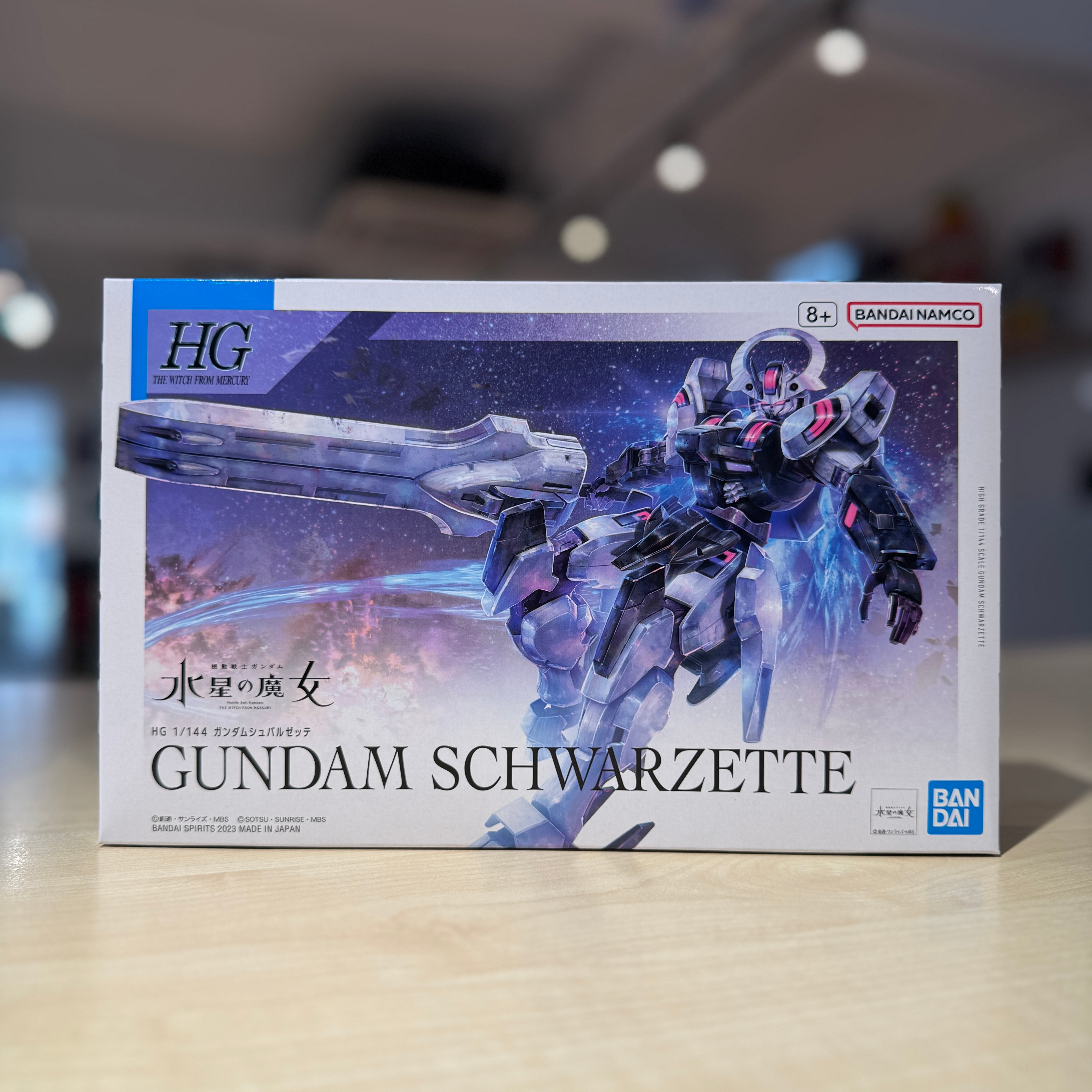HG Gundam Schwarzette