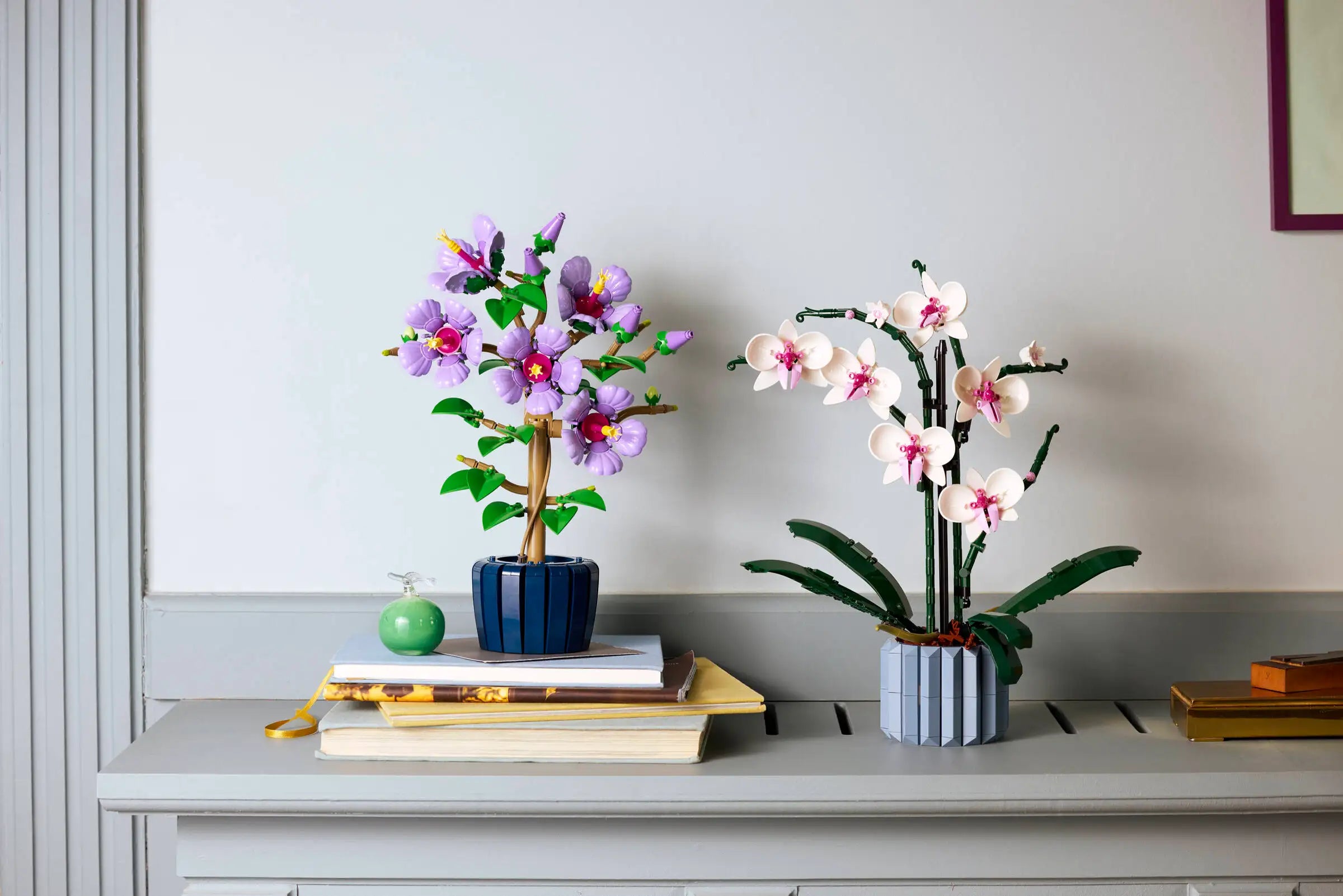 Two decorative plants in pots on a shelf against a light gray wall.