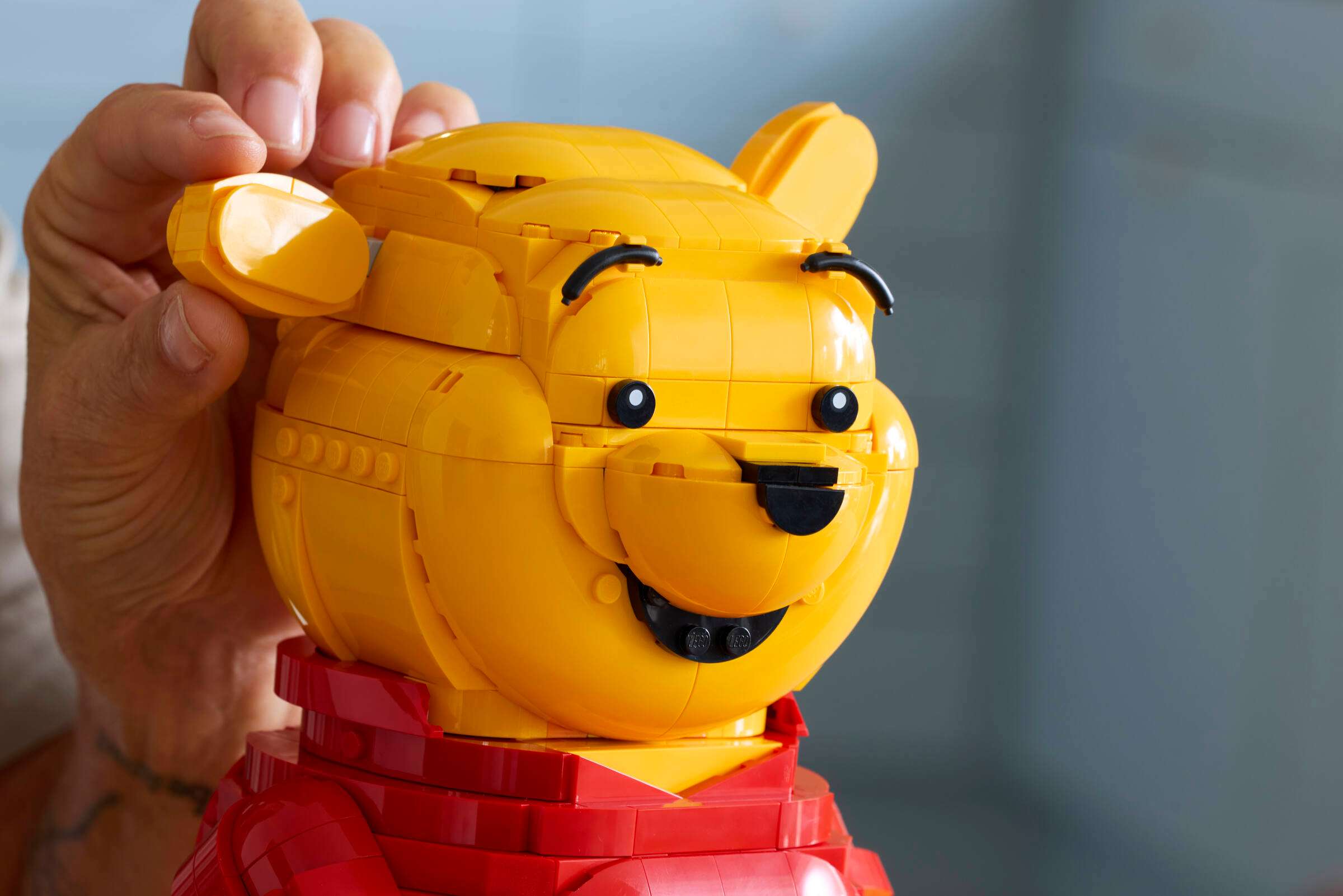 LEGO 43300 Winnie the Pooh