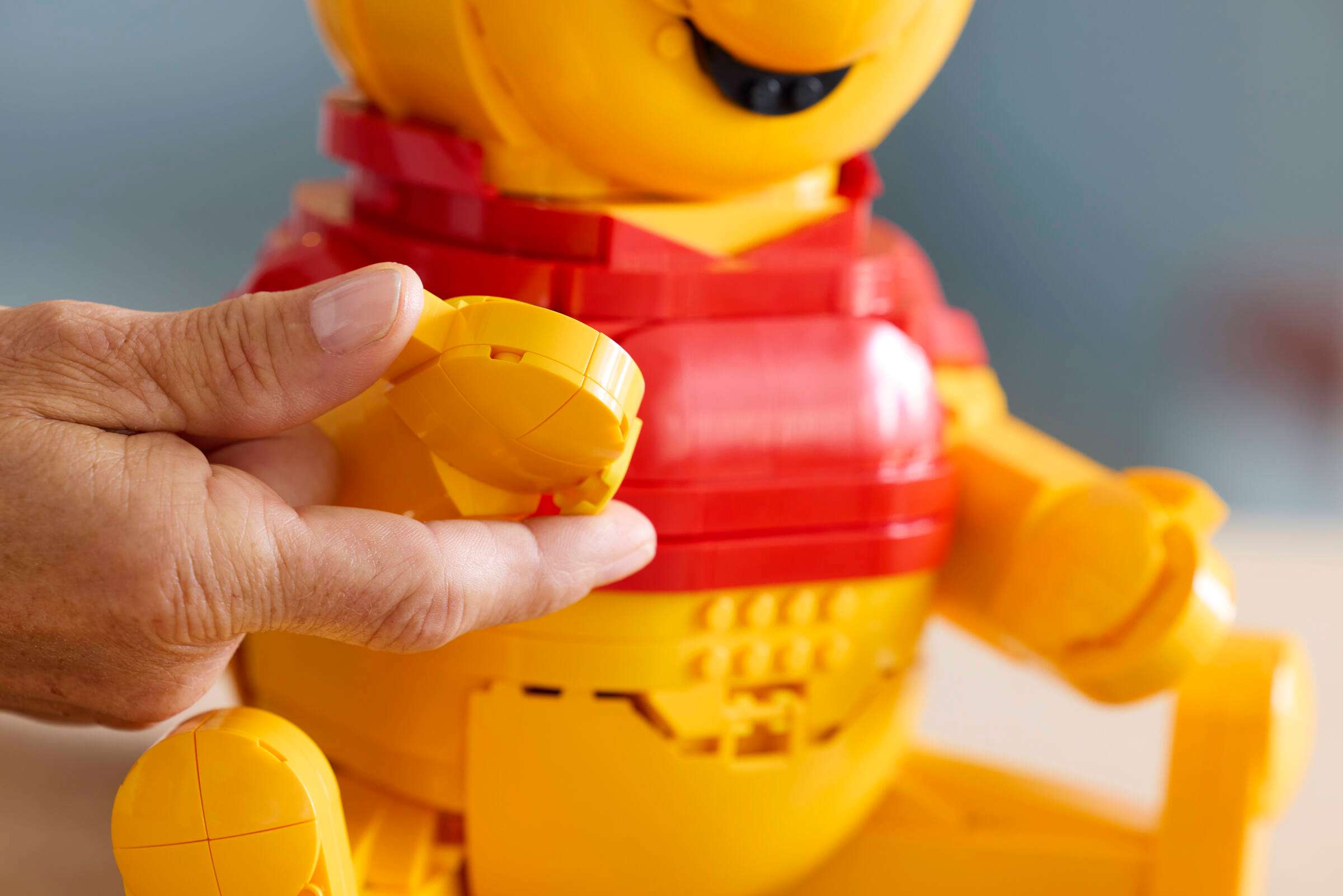LEGO 43300 Winnie the Pooh