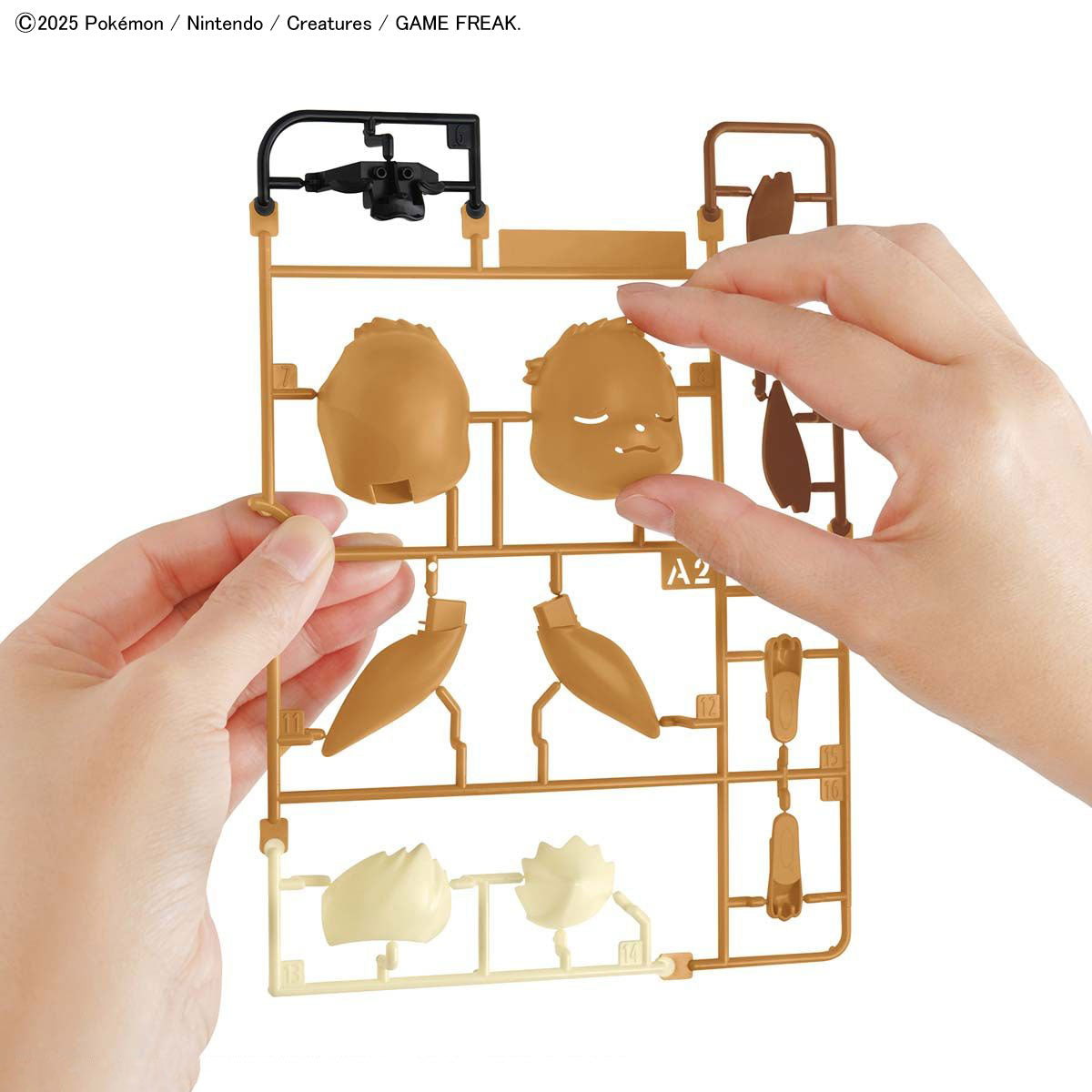 Pokémon Plamo Collection QUICK!! 07 Eevee (Sleeping Pose)