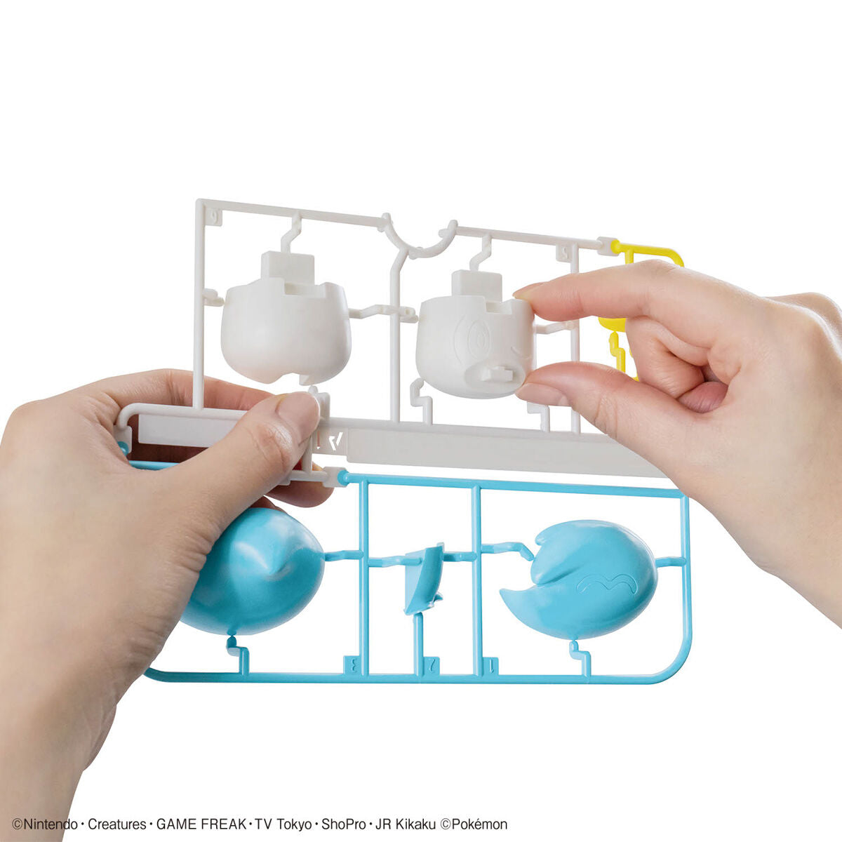 Pokémon Plamo Collection Quick!! 19 Quaxly