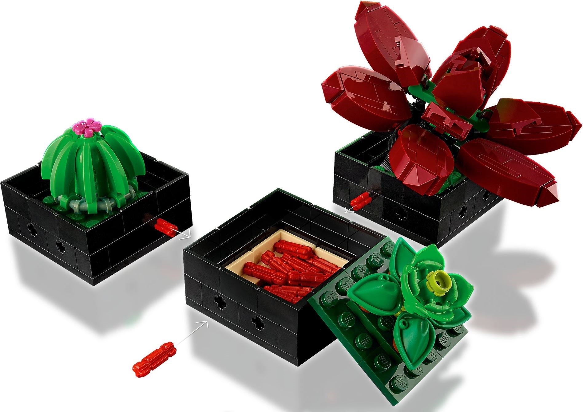 LEGO 10309 Succulents