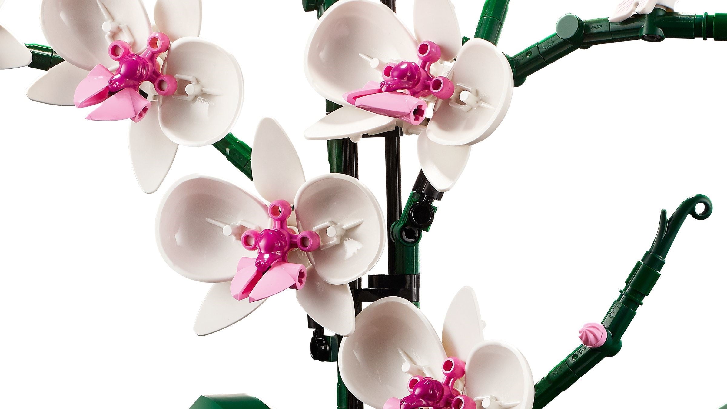 LEGO 10311 Orchid