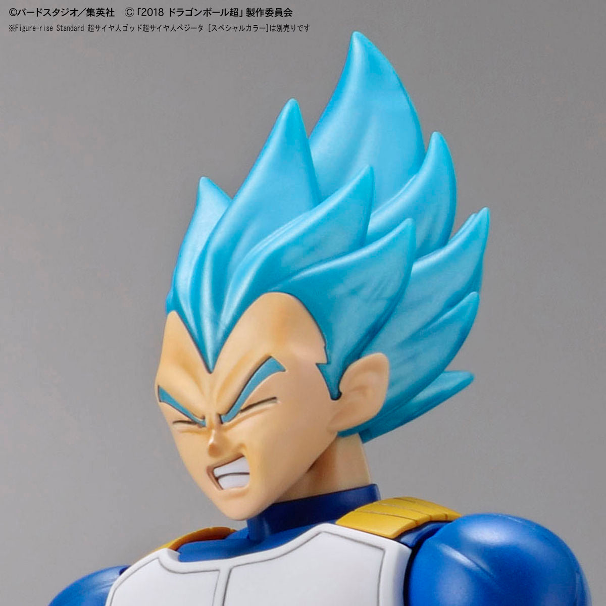 Figure-rise Standard Super Saiyan Broly Full Power