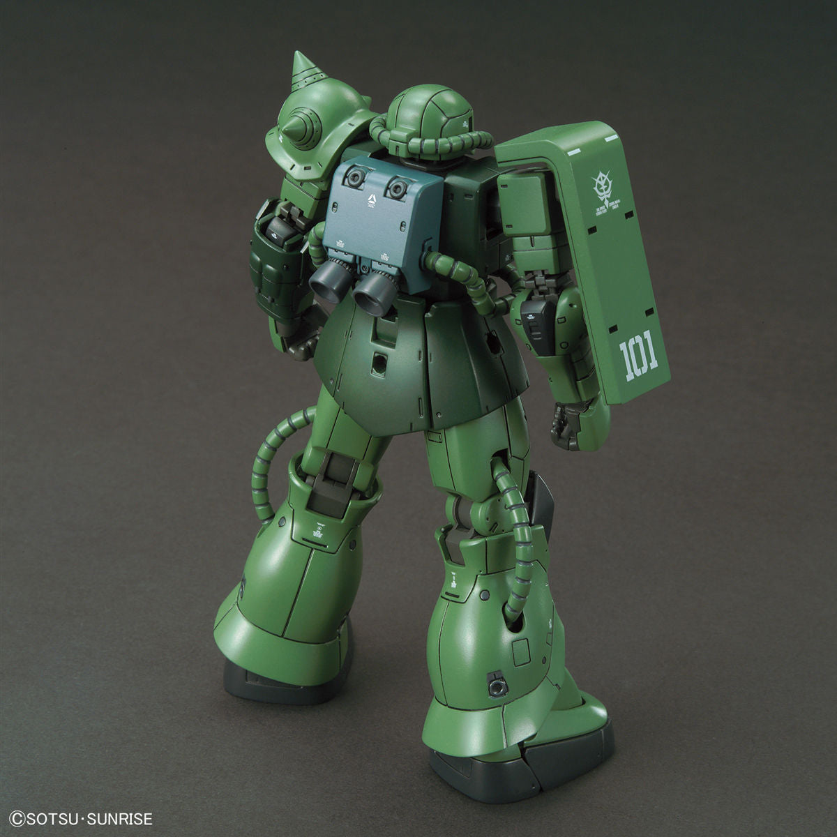 HG Zaku II Type C-6/R6
