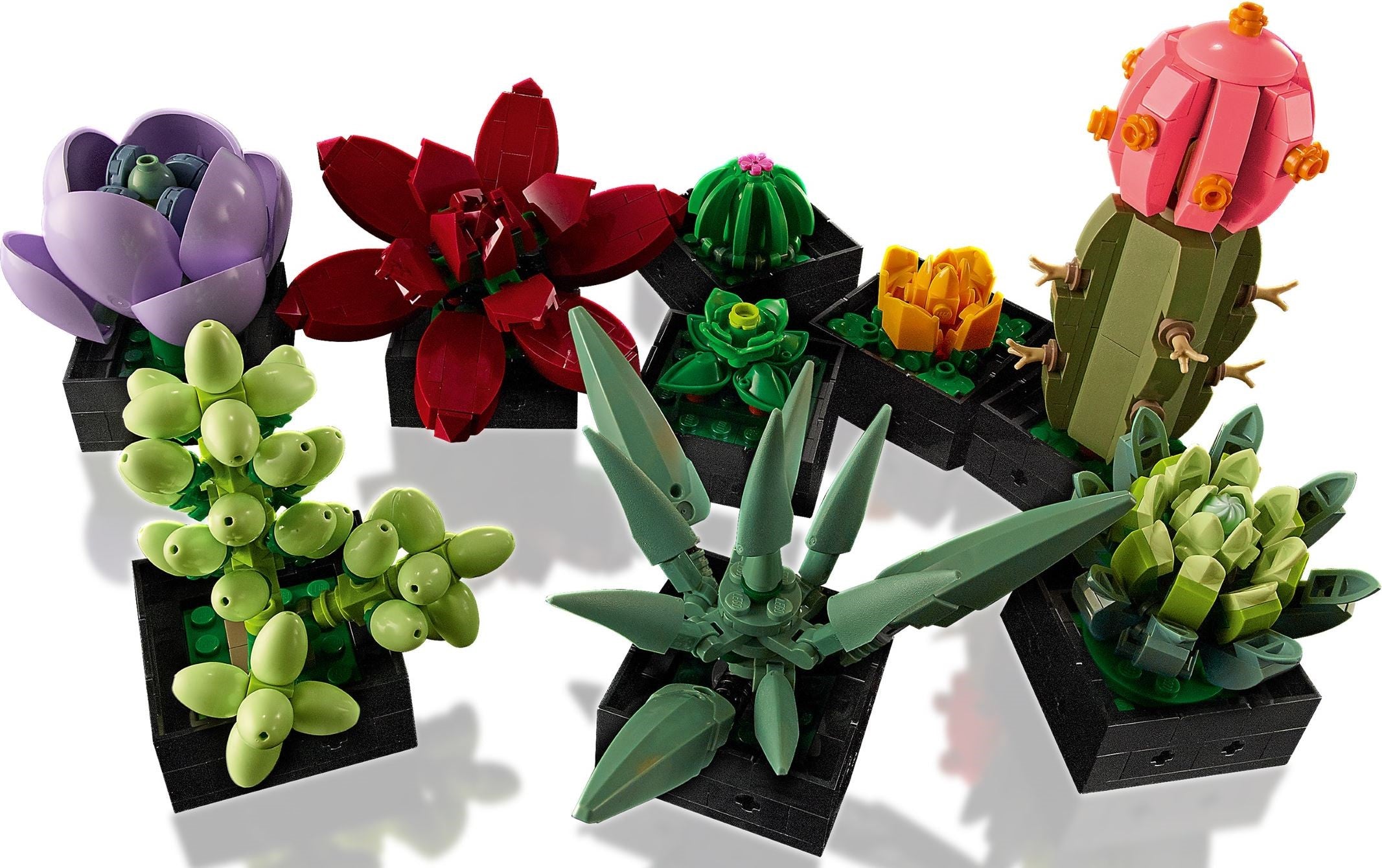 LEGO 10309 Succulents