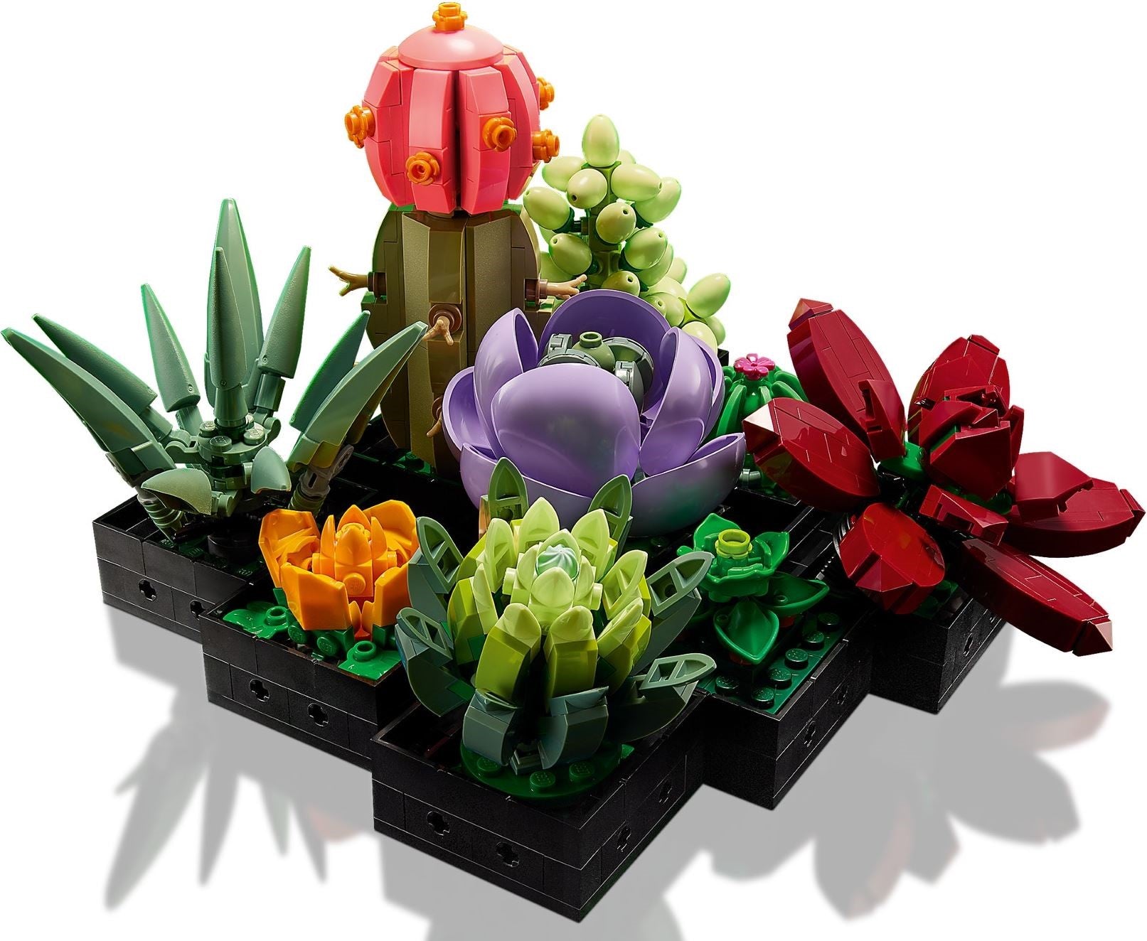 LEGO 10309 Succulents