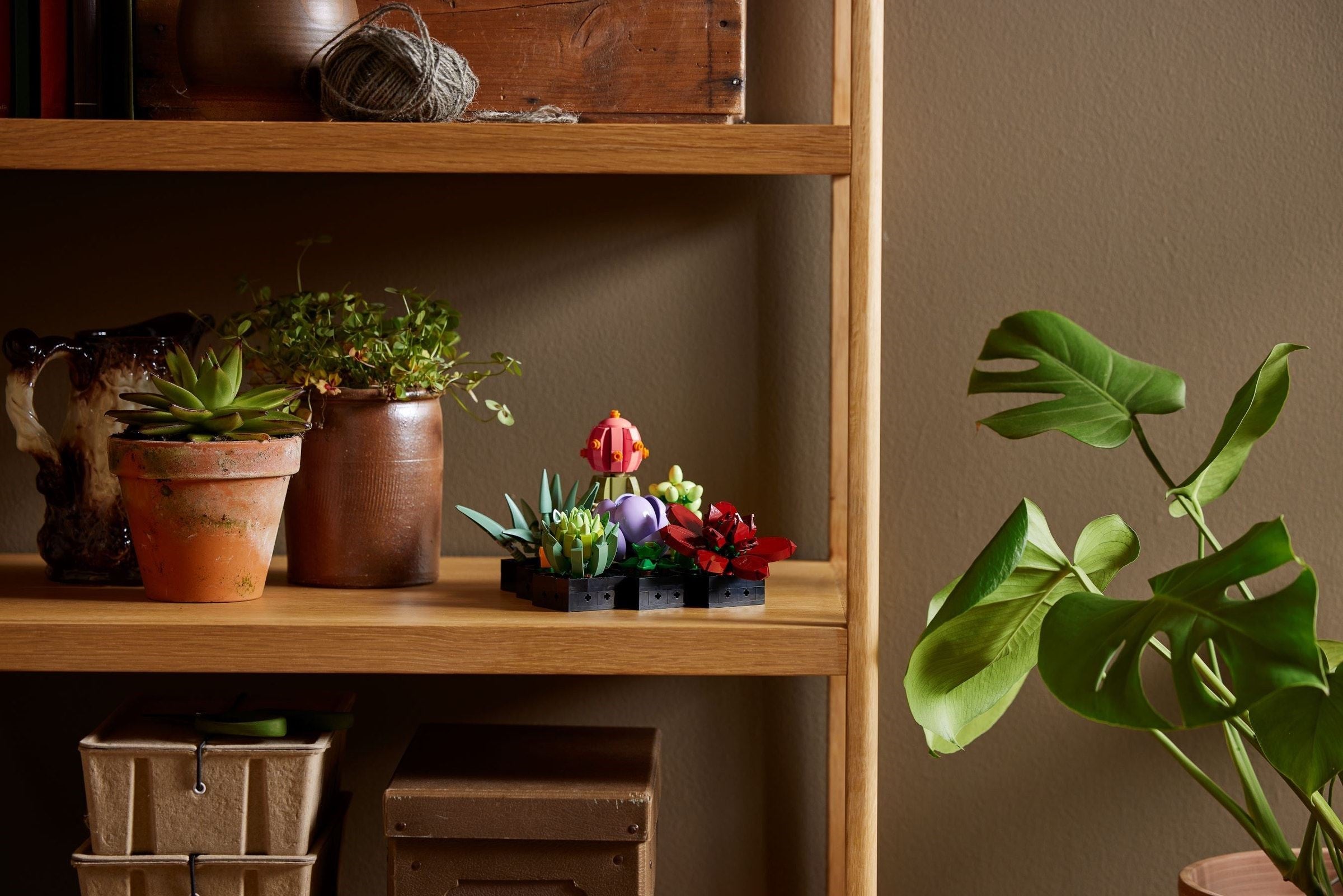 LEGO 10309 Succulents