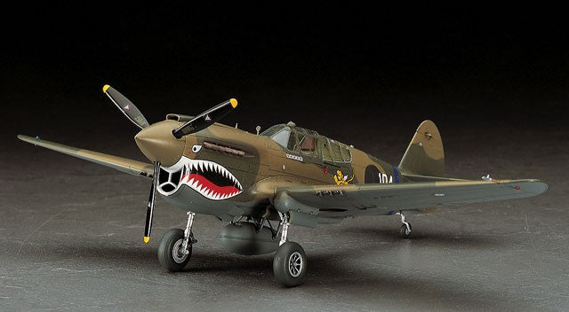Hasegawa 1/48 P-40E WarHawk