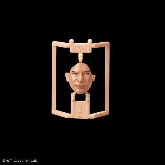 1/12 Han Solo StromTrooper Ver.™