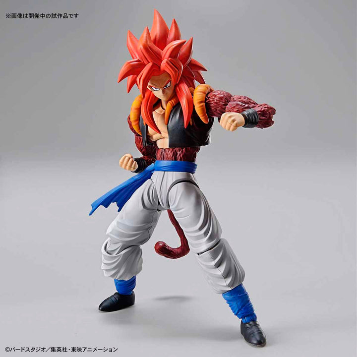 Figure-rise Standard Super Saiyan 4 Gogeta release info