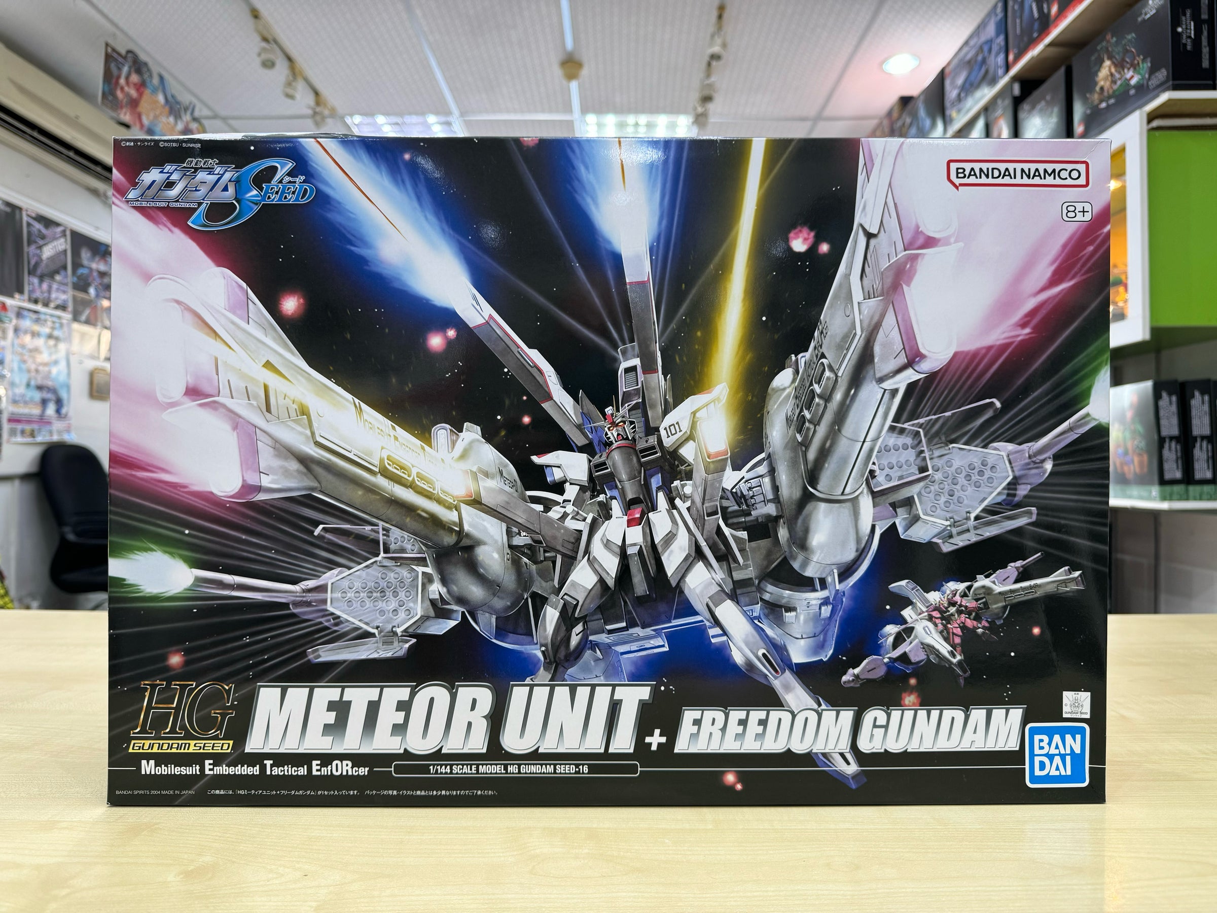 HG Meteor Unit & Freedom Gundam