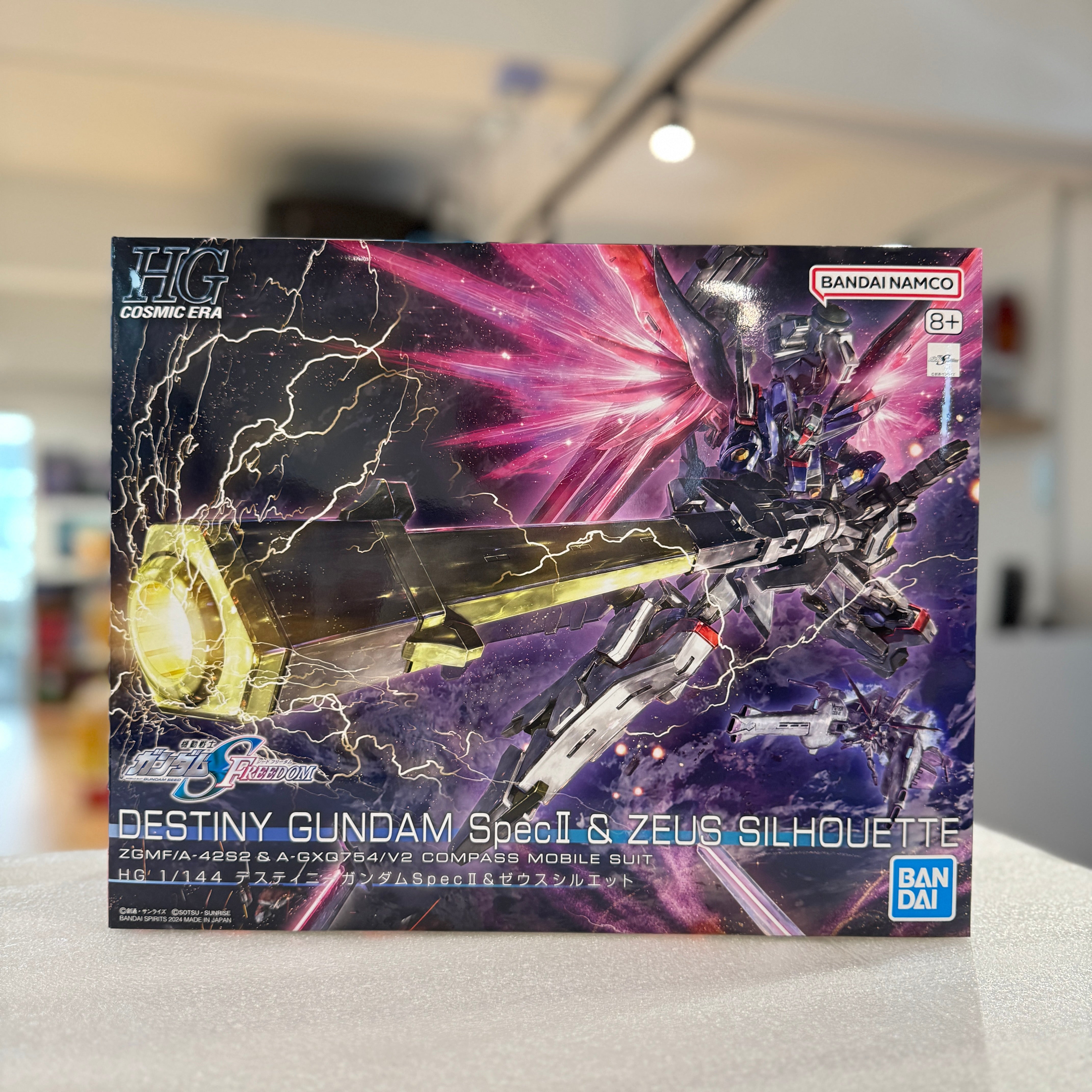 HG 1/144 Destiny Gundam Spec II & Zeus Silhouette