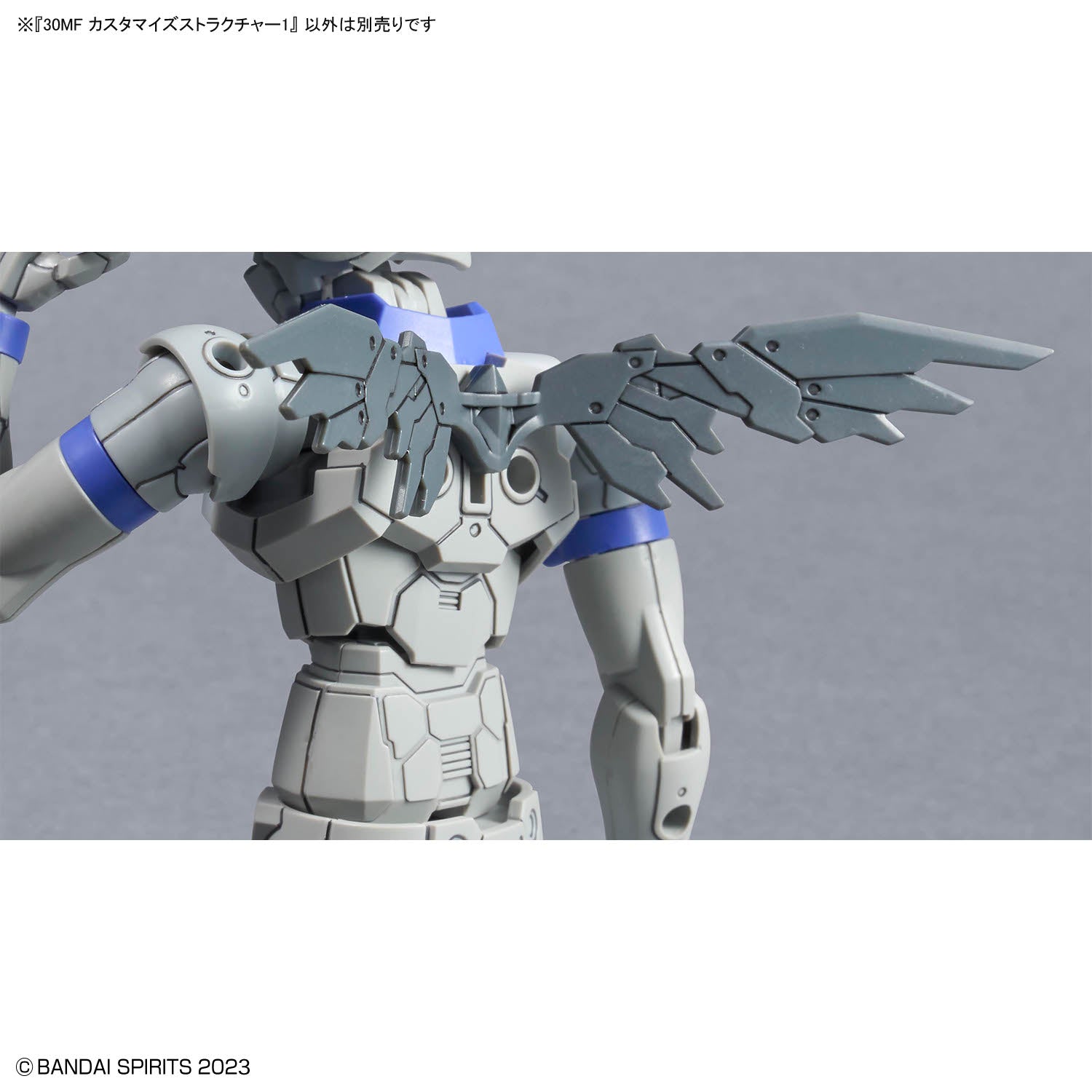 30MF Customize Structure 1