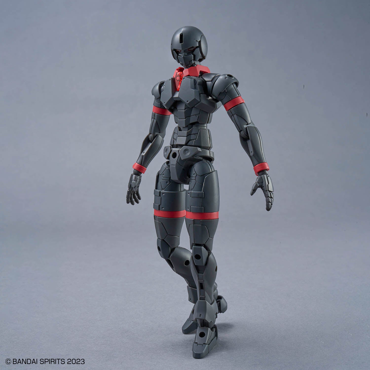 30MF Liber Swordsman