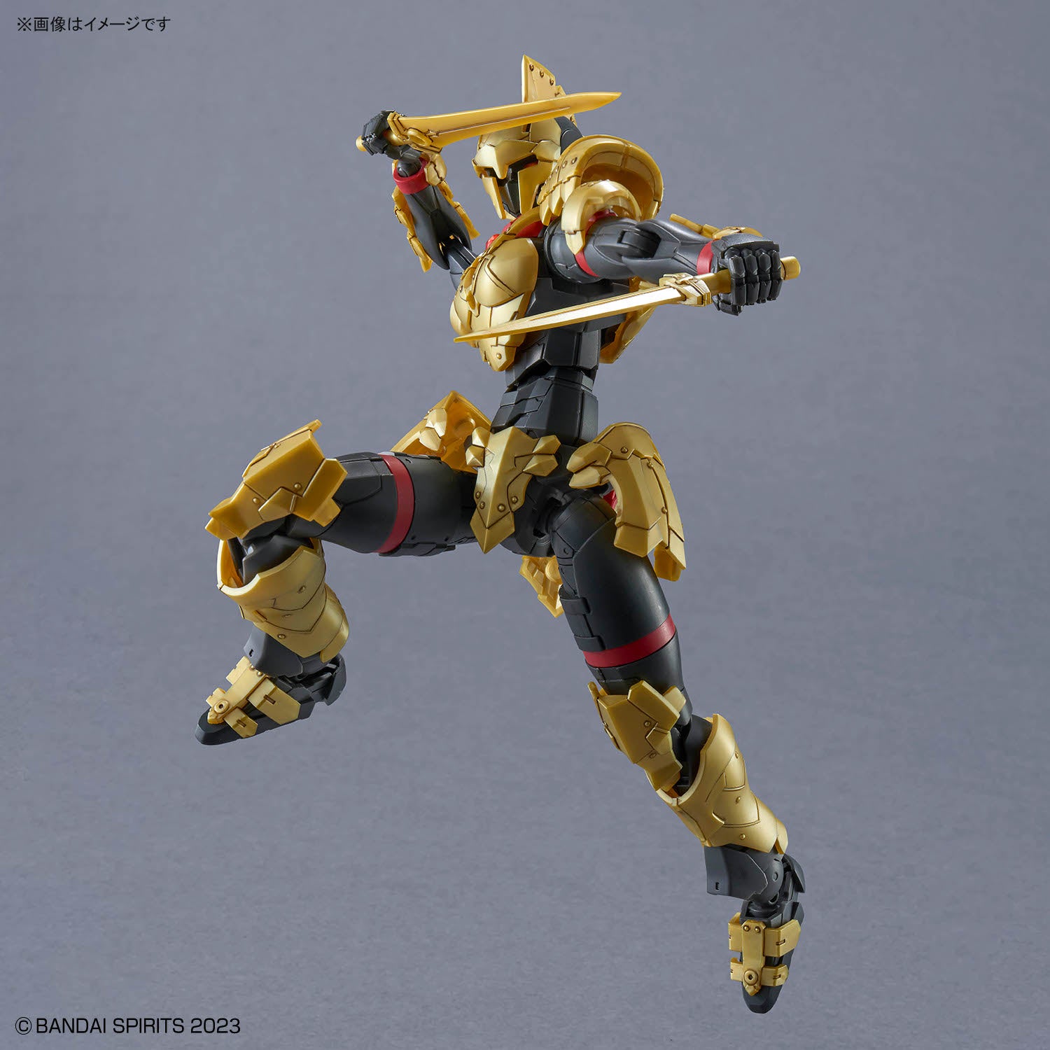 30MF Liber Swordsman