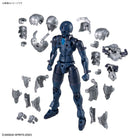 30MF Rosan Swordsman