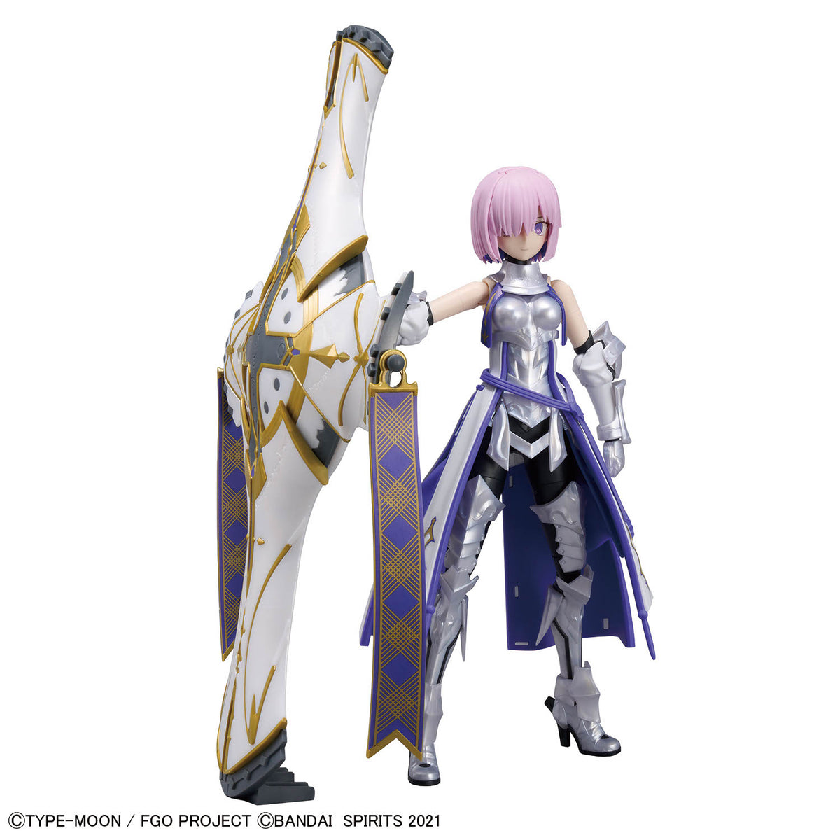 30MS Shielder/Mash Kyrielight [Paladin]