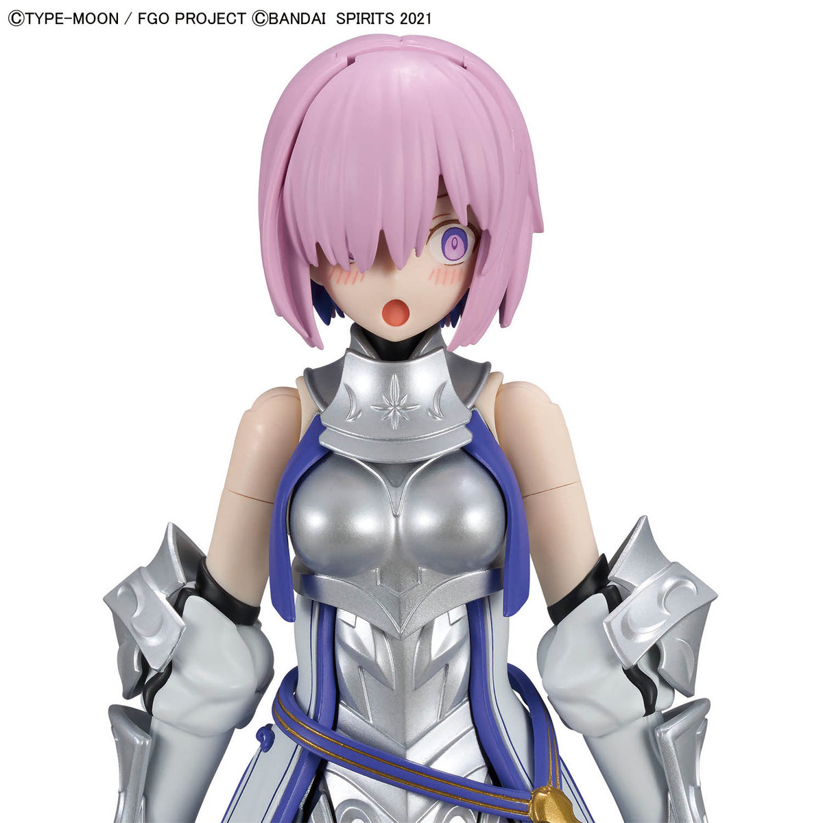 30MS Shielder/Mash Kyrielight [Paladin]