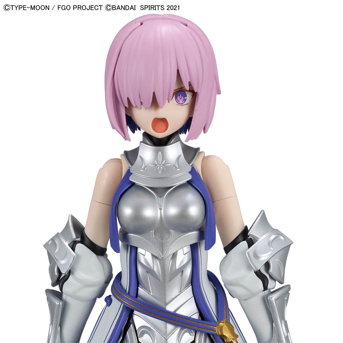 30MS Shielder/Mash Kyrielight [Paladin]