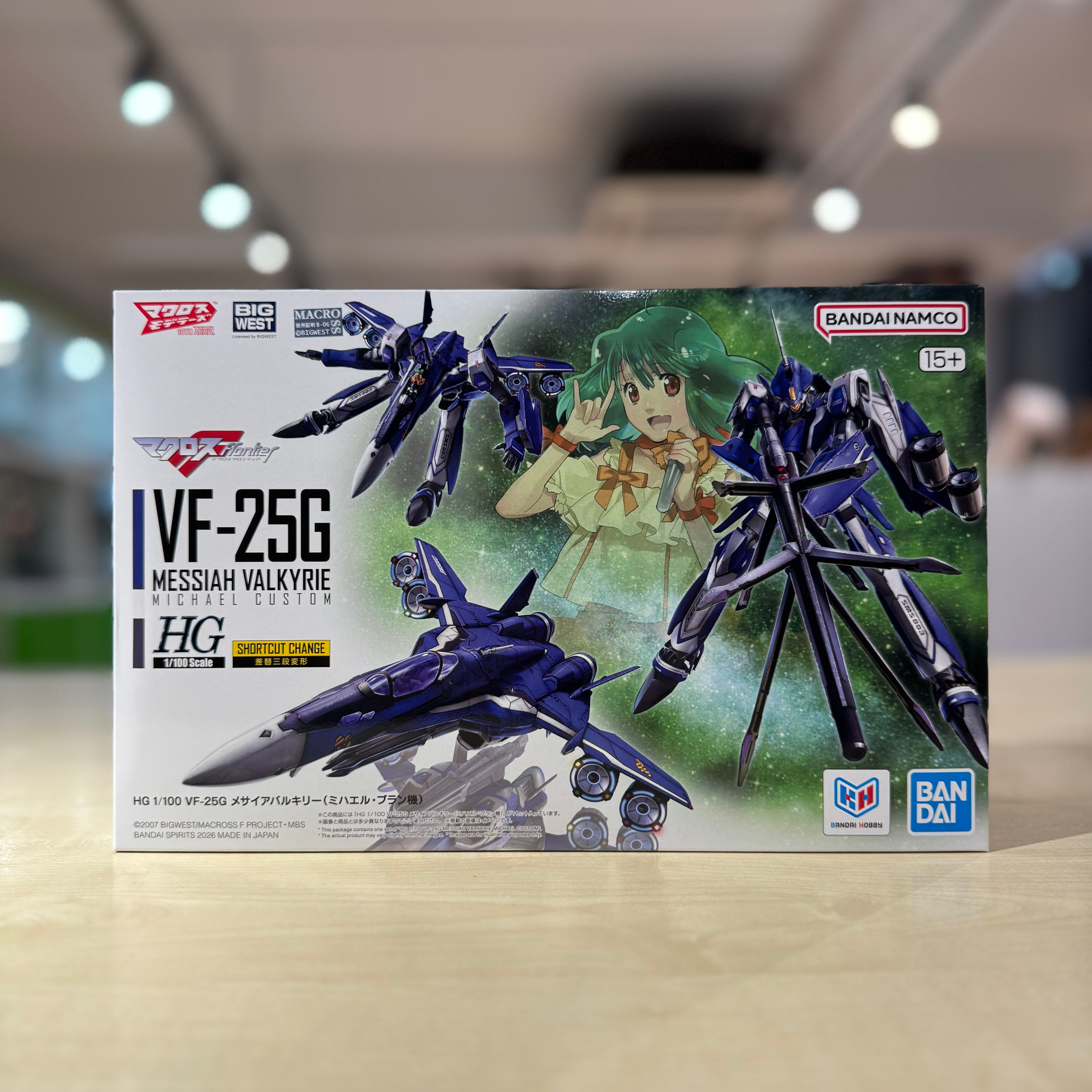 HG 1/100 VF-25G Messiah Valkyrie (Michael Blanc Use)