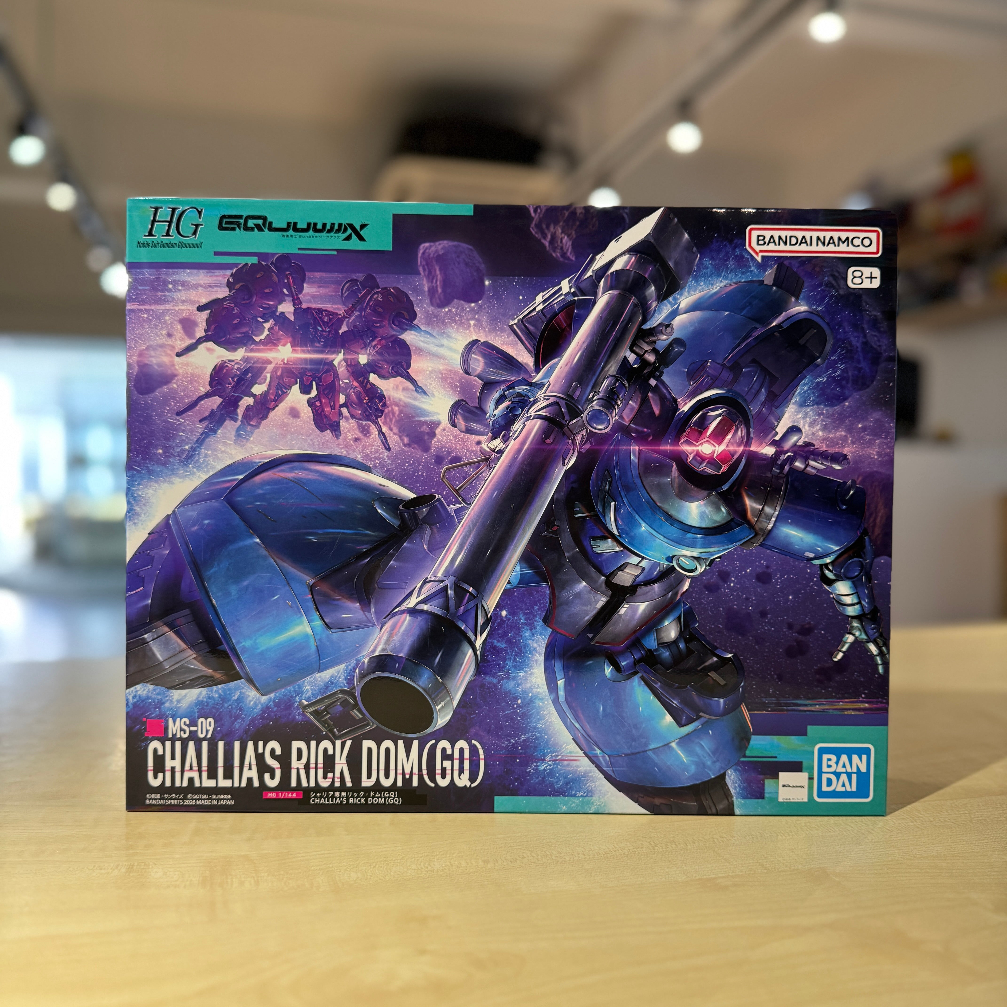 HG 1/144 Challia’s Rick DOM (GQ)