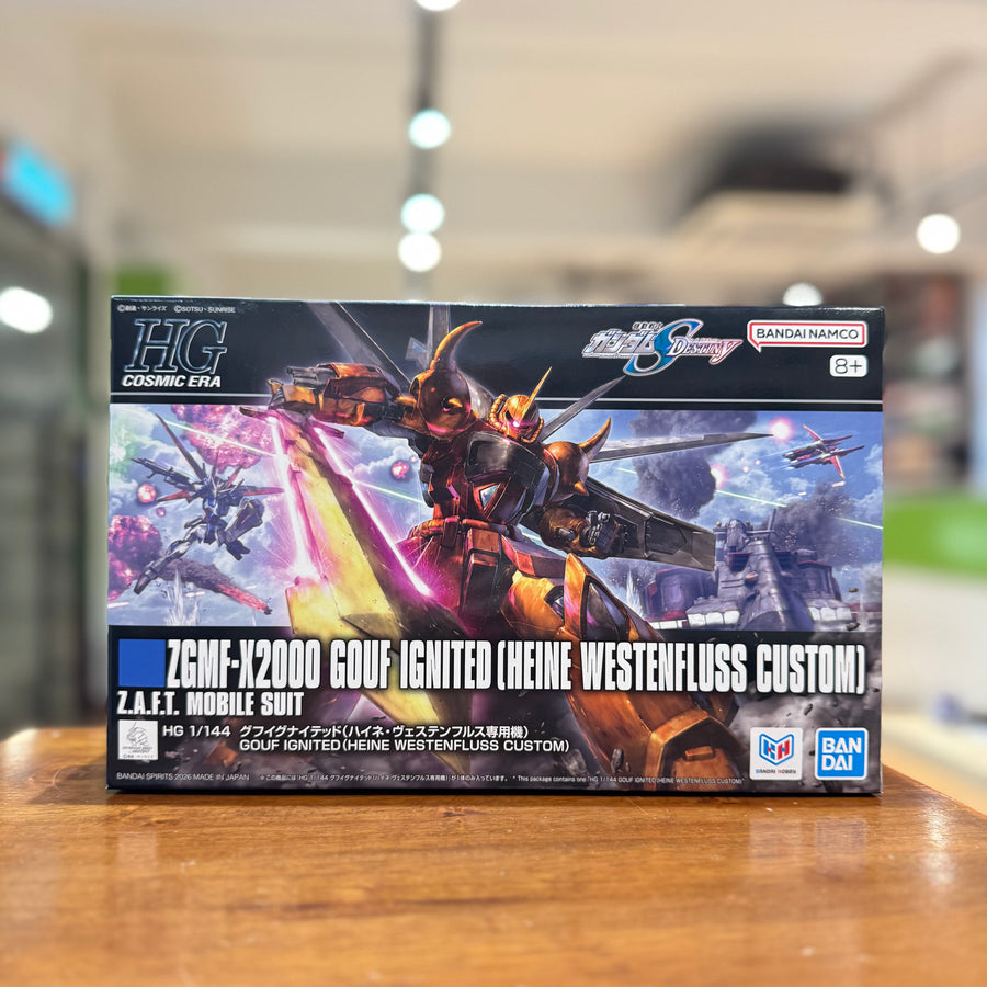 HG Gouf Ignited Heine Westenfluss Custom model kit