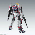 MG 1/100 Narrative Gundam C-Packs Ver. Ka