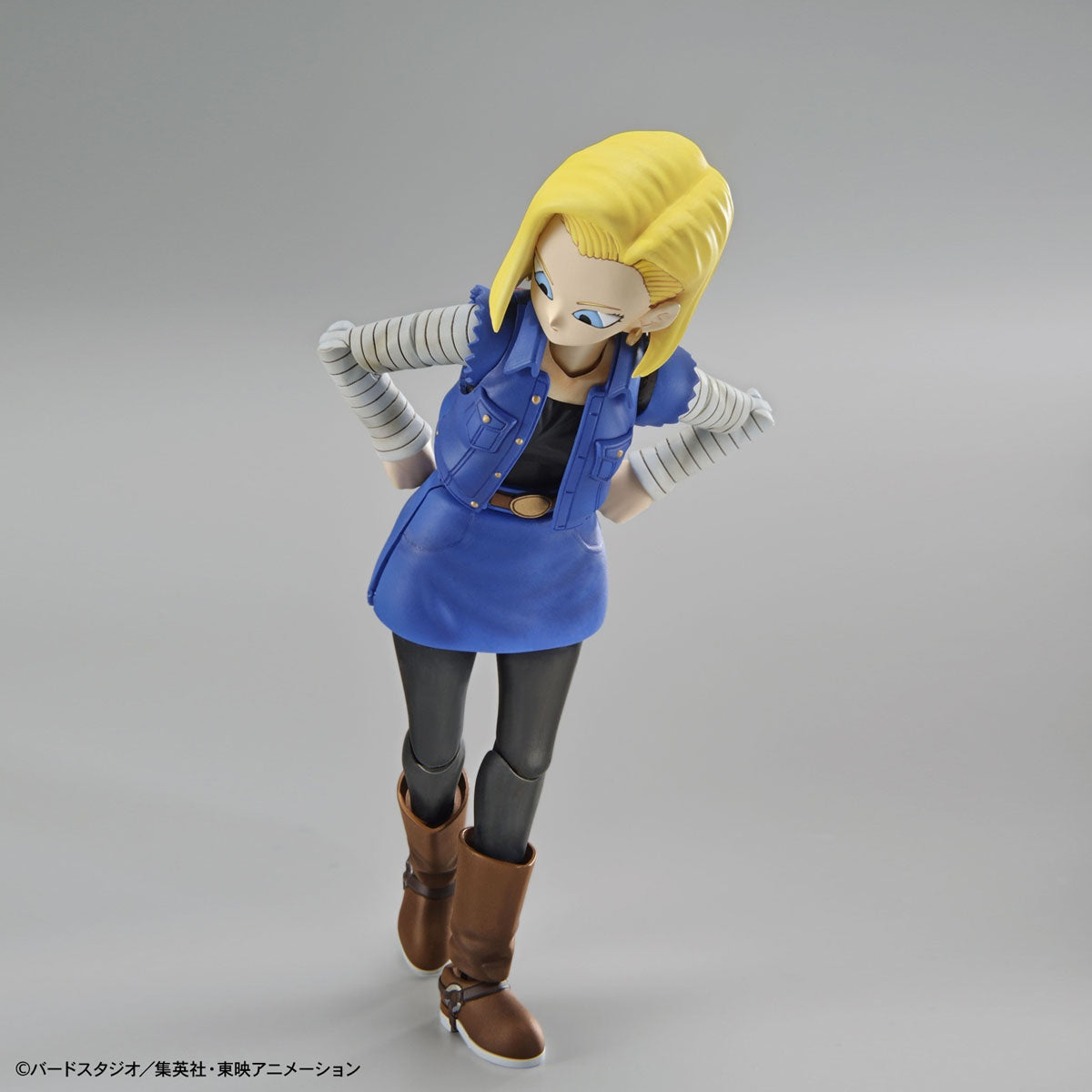 Figure-rise Standard Android No.18 (Renewal)