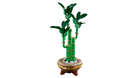 LEGO 10344 Lucky Bamboo