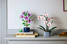 Two decorative plants in pots on a shelf against a light gray wall.