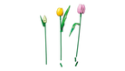 LEGO 11501 Tulip Bouquet