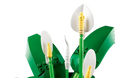 LEGO 11504 Peace Lily