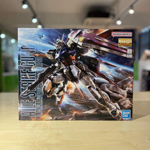 MG GAT-X105 Aile Strike Gundam Ver.RM