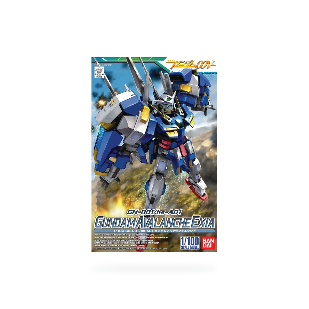 NG 1/100 GN-001/hs-A01 Gundam Avalanche Exia
