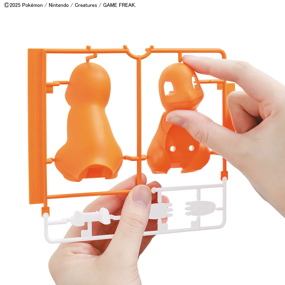 Pokémon Plamo Collection QUICK!! 11 Charmander