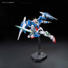 RG GN-0000+GNR-010 00 Raiser