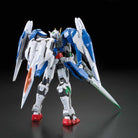 RG GN-0000+GNR-010 00 Raiser