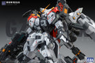 ZZA Model 1/100 GZSS-OX Regus
