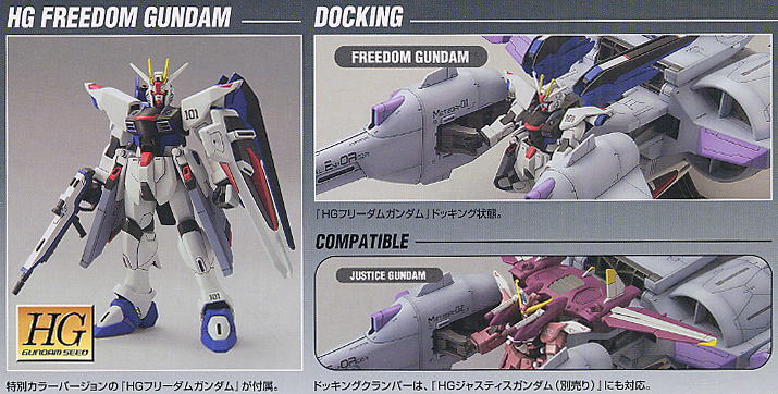 HG Meteor Unit + Freedom Gundam