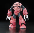 RG MSM-07S Char's Z'Gok